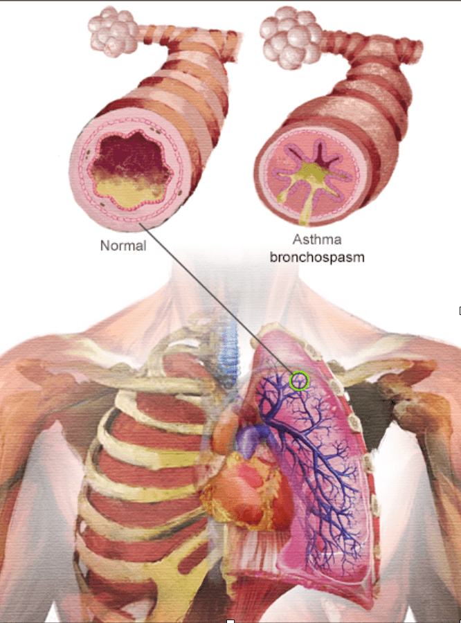 Screenshot 2025 06 29 at 12.19.32 PM